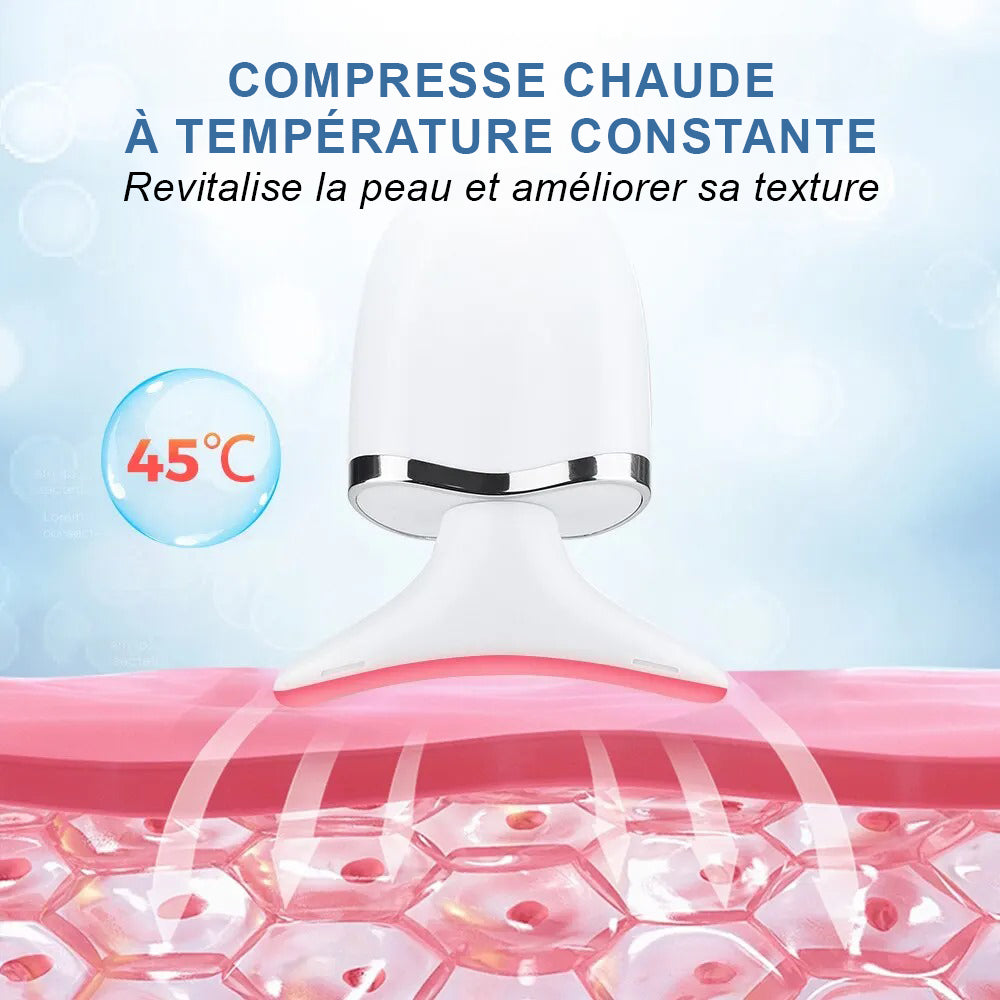 Appareil de Beauté Électrique pour Cou et Visage Hailicare - Masseur EMS, Micro Courant, USB, Soin Anti-Âge et Raffermissant